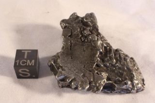 Campo meteorite crystal unique shape 81.2 grams