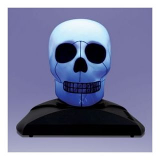 Can You Imagine Halloween Color Changing LED Spooky Sound Skull Magic 