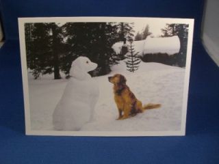 DOG LOVERS GOLDEN RETRIEVER & SNOWMAN CHRISTMAS HOLIDAY CARDS 5