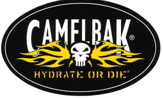 USMC Camelbak Hydration Pack Desert Digital Camo USGI