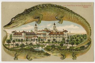 1910 Langsdorf Alligator Border   St Augustine Florida Hotel Ponce de 
