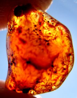 Carnelian Gemstone Chalcedony Agate Crystal LOT NR Quartz Cherry 