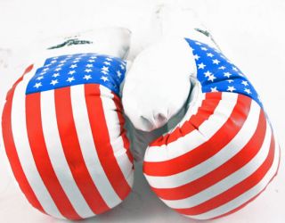 Pair USA 16oz Boxing Gloves New Punching Gloves