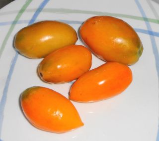 2013 Fresh Seeds ~ 25 count ~ ORANGE BANANA ~ Organic Heirloom Tomato