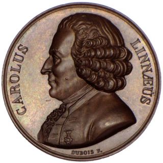 Carl Von Linné 1707 1778 Dubois 1818 Durand AE ID 5005