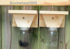 Carpenter Bee Trap Using Regular Size Mason Jar Handcrafted in USA 
