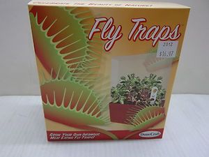   FLY TRAPS TERRARIUM VENUS FLY TRAP SEED PACK PLANT KIT BNIB 01188 NEW
