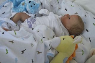Doves Nursery ♥ Real Life Reborn Baby Boy ♥ A Cameron Klingman 