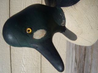   Wood Duck Decoy; Caseville, Saginaw Bay; MICH ; Pigeon , MI