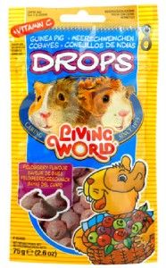Living World Guinea Pig Fieldberry Treat Drops 2 6 Oz