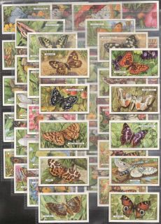 Full £24 Set Cigarette Cards Butterflies Moths Tiger Moth Hawk 1938 