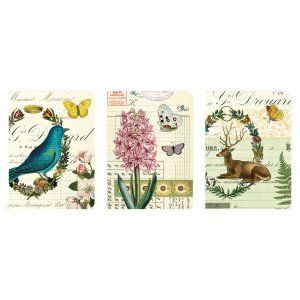 Set of three themed mini notebooks from Cavallini packaged together 