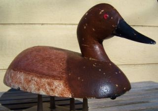  Michigan AWESOME HEN CANVASBACK Wood Duck Decoy; Detroit River
