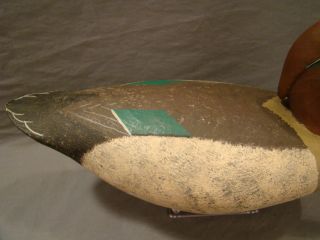 Vintage John Hamilton Hand Painted Folk Art Bird New Jersey Wood Duck 