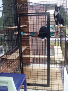   We design, sell and install outdoor cat (and small dog) enclosures