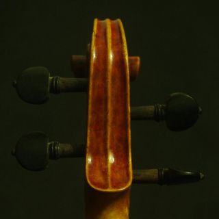 Maestro Guarneri 1743 Cannon Violin 3026 Powerful Tone
