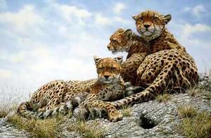 John Seerey Lester Kenyan Family Cheetahs Limited Edition Print