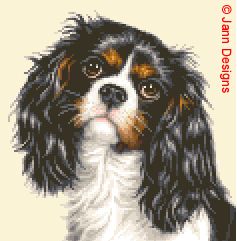 Cavalier King Charles Spaniel Dog Cross Stitch Kit