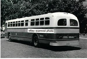 Chicago Transit Authority Bus Photo Flxible Twin Coach CTA