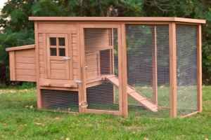 CHICKEN COOPS   CAN BE USED FOR RABBITS OR GUINEA PIGS TOO   ASSEMBLY 