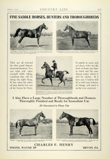 1930 Ad Charles F. Henry Thoroughbred Horses Hunters Jumpers 