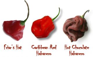 Hottest Chili Pepper Trio Box Hot Red Habanero Chilli Grow Your Own 