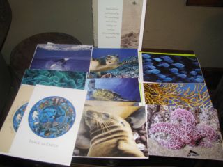   Sea Life Animals Cards Greeting Christmas Birthday Blank Scrapbook LOT