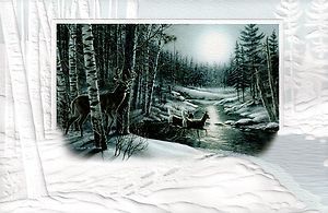 16 Boxed Christmas Cards Whitetail Deer Buck at Night