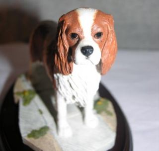 Cavalier King Charles Spaniel Made in England Dog