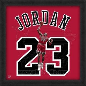 Chicago Bulls Michael Jordan Framed Jersey Photograph