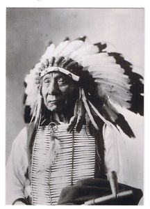 Red Cloud, Quanah Parker, Chief Joseph (5) Postcards #8