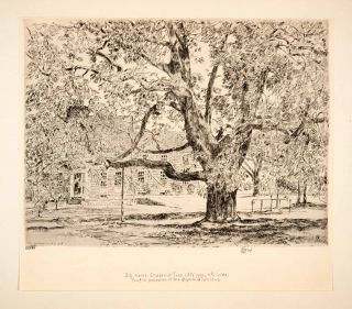 1929 Aquatone Childe Hassam Big Horse Chestnut Tree Easthampton New