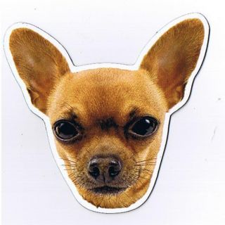 Chihuahua Dog Magnet Anywhere Car Magnet