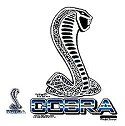 Ford Fairlane Torino Talladega NASCAR Race Car Cobra 13