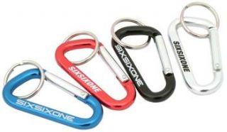 661 Carabiner Keyring