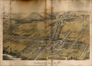Cobleskill Birds Eye View Map 1883 New York Schoharie County