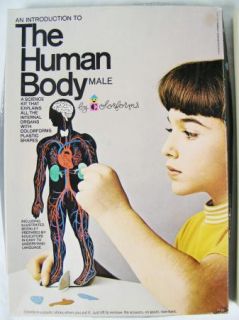 An Introduction to THE HUMAN BODY Male by Colorforms 1970 UNUSED #1149