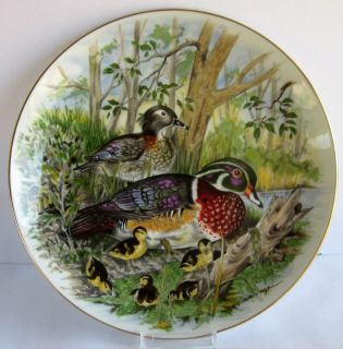 WOOD DUCK Southern Living Gallery Collector Plate Artist A. J