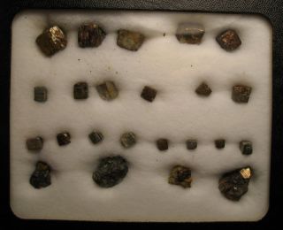 23 Old Pyrite Crystals Riker Mount Box Climax Co