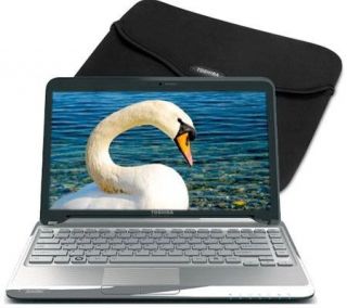 Toshiba 13.3 Notebook, AMD Athlon K325, 3GB, 320GB HD, Case