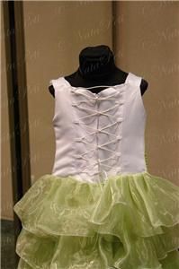 FLOWER GIRL PAGEANT PARTY HOLIDAY DRESS 3940 WHITE GREEN SIZE 6