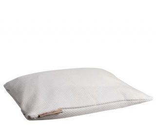 Japanese Size Buckwheat Pillow with Fully Zippered Quilted Cover