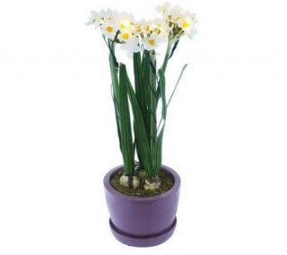 BethlehemLights BatteryOperated 17.5 Potted Narcissus with Timer