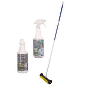 Don Asletts Carpet Refresh Rolling Brush & OxygenFortified Cleaner