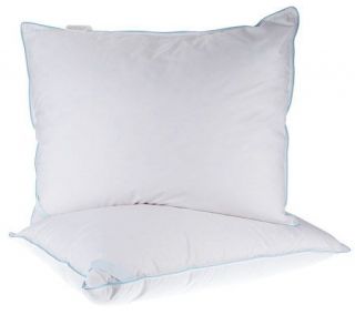 Northern Nights STD S/2 Down & Uncrushable Feather Pillows —