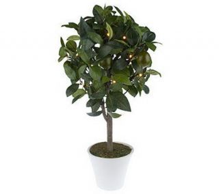 BethlehemLights BatteryOperated 24 Potted Lemon or Lime Tree w/Timer 