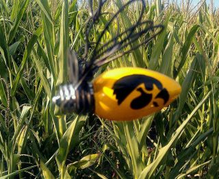 Fireflies with University of Iowa Hawkeye Made in Iowa