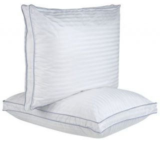 PedicSolutions Set of 2 Ventilated Memory Foam & Poly Pillows