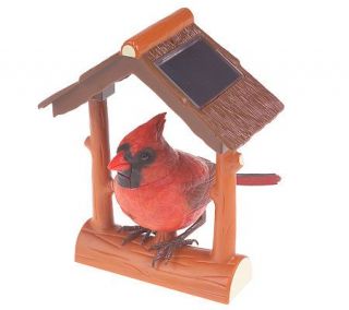 Solar Powered Breezy Singers Motion Sensored Chirping Bird —