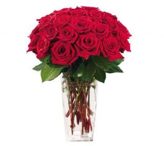 Two Dozen Red Rose Special with Vase by ProFlowers —